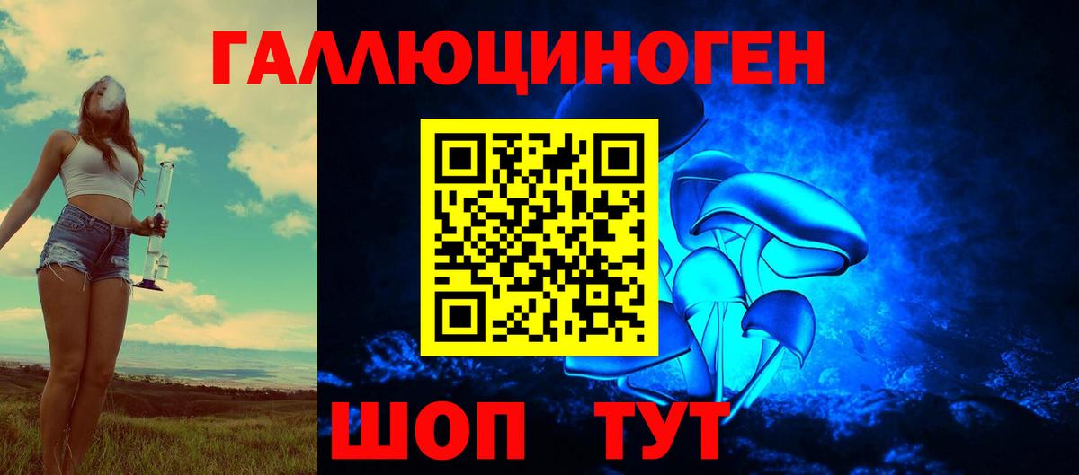 Советск  Галлюциногенные грибы Psilocybine cubensis  Вход с VPN 
