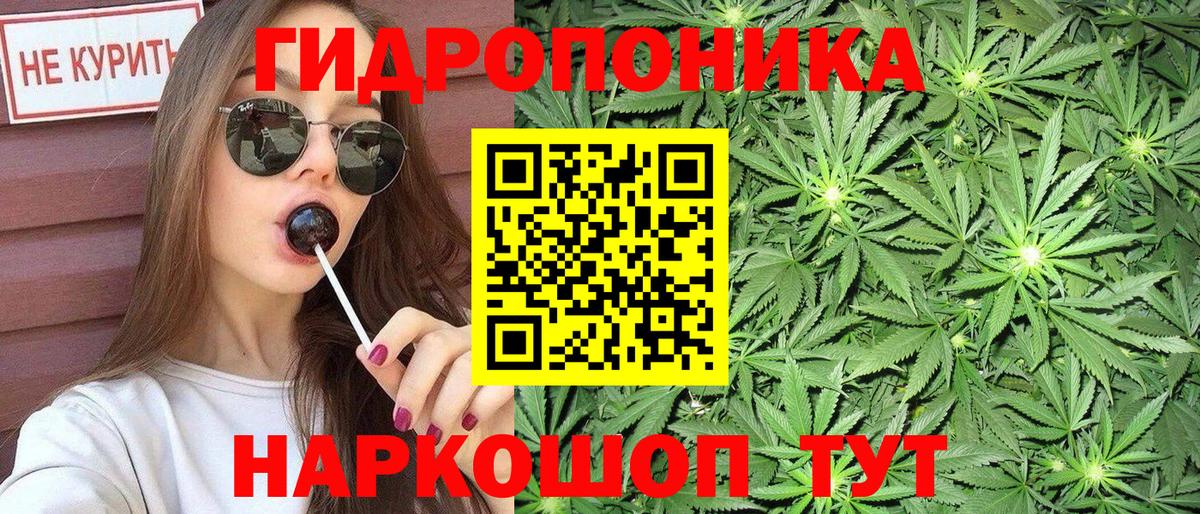 МАРИХУАНА сатива Советск